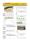 Vista preliminar de documento Boletín de abastecimiento y precio del ARROZ - 02/08/22