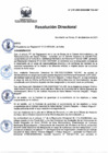 Vista preliminar de documento rd 215-2021.pdf