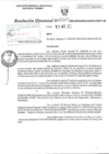 Vista preliminar de documento RD0264-MIDAGRI-DVDAFIR-PEBPT_0001.pdf
