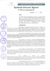 Vista preliminar de documento RDR 224-2022