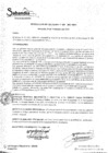 Vista preliminar de documento R.A. Nº409.pdf