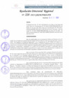 Vista preliminar de documento RDR 228-2022