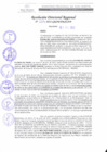 Vista preliminar de documento RDR 229-2022