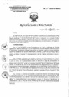 Vista preliminar de documento Resolución Directoral N°155-2020-DG-HEJCU.PDF