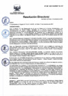 Vista preliminar de documento Rd N° 207-2021-DG.pdf