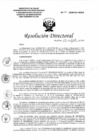 Vista preliminar de documento Resolución Directoral N°166-2020-DG-HEJCU.PDF