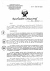 Vista preliminar de documento Resolución Directoral N°175-2020-DG-HEJCU.PDF