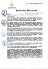 Vista preliminar de documento RD N° 181-2021-DG (2).pdf