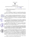 Vista preliminar de documento RER N° 421-2022