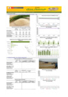 Vista preliminar de documento Boletín de abastecimiento y precio del ARROZ - 03/08/22