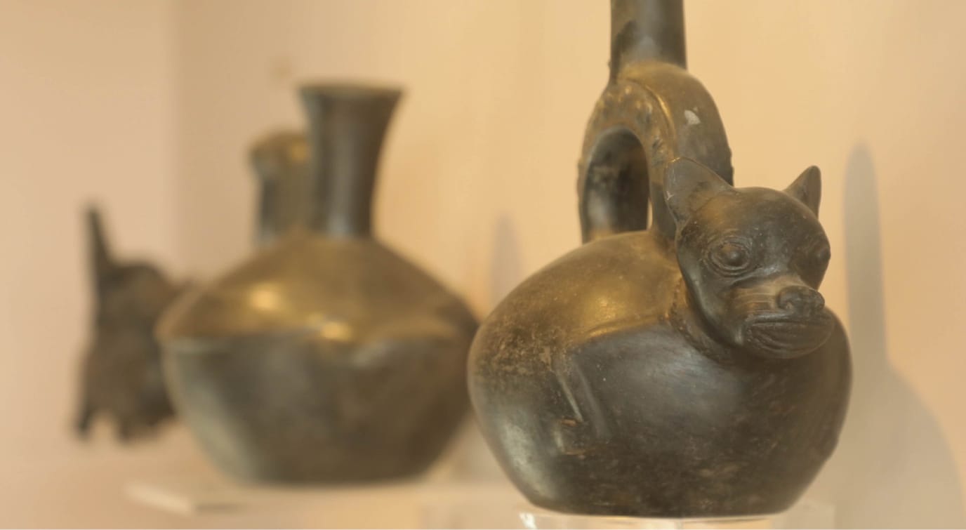 La Libertad: Variado programa espera a los visitantes al Bosque Nativo del Museo de Chan Chan