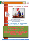 Vista preliminar de documento Plan de Acción Provincial de Seguridad Ciudadana Calca - 2022