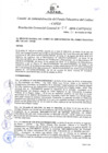 Vista preliminar de documento Resolución de Gerencia General