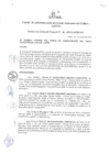 Vista preliminar de documento Resolución de Gerencia General