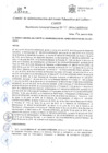 Vista preliminar de documento Resolución de Gerencia General