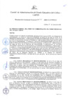 Vista preliminar de documento Resolución de Gerencia General