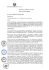 Vista preliminar de documento AC 216 22.06.22.pdf