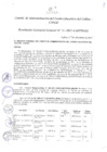 Vista preliminar de documento Resolución de Gerencia General