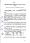 Vista preliminar de documento Resolución de Gerencia General