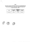 Vista preliminar de documento 525-2020 ANEXO.pdf