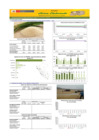 Vista preliminar de documento Boletín de abastecimiento y precio del ARROZ - 04/08/22