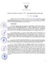 Vista preliminar de documento RES Nº213-2022-GRDS