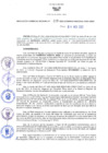 Vista preliminar de documento RES Nº219-2022-GRDS