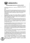 Vista preliminar de documento rgaf033-2022-gaf-mdpp