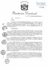 Vista preliminar de documento RD 113-2019-PNSU.pdf