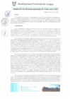 Vista preliminar de documento RGM0296-2022