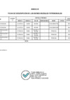 Vista preliminar de documento ANEXO 01 - RESOLUCION - BAJA Y TRANSFERENCIA BBMM GORE PUNO