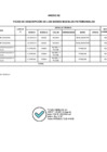 Vista preliminar de documento ANEXO 02 - RESOLUCION - BAJA Y TRANSFERENCIA BBMM GORE PUNO