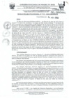 Vista preliminar de documento RER 335-2022-GOREMAD-GR.pdf