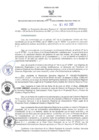 Vista preliminar de documento RER N° 422-2022