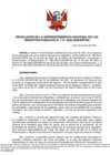 Vista preliminar de documento Resolución N° 115-2022-SUNARP-SN