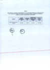Vista preliminar de documento R.M.N° 015-2021 ANEXO.pdf