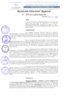 Vista preliminar de documento RDR 235-2022