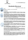 Vista preliminar de documento ACTUALIZAR el Comité Docente del Residentado Médico 