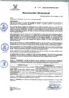 Vista preliminar de documento RD 250-2020-DG-INSM.pdf