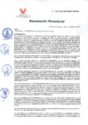 Vista preliminar de documento RD 233-2020-DG-INSM.pdf