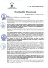Vista preliminar de documento RD 230-2020-DG-INSM.pdf