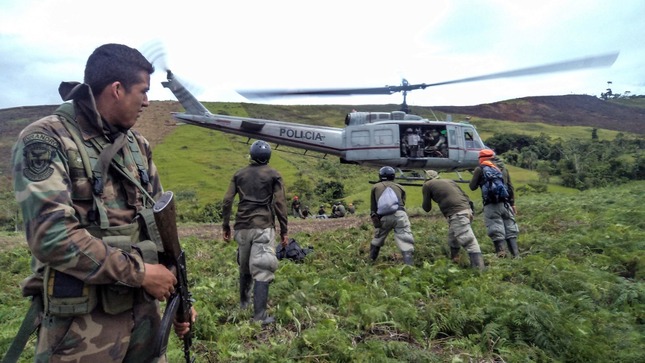 Destruyen más de 29 hectáreas de hoja de coca en Mazamari en menos de 48 horas 