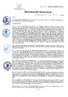 Vista preliminar de documento RD 223-2020-DG-INSM.pdf