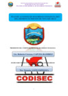 Vista preliminar de documento PADSC  2023 CODISEC.pdf
