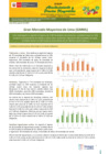 Vista preliminar de documento Boletín de Abastecimiento y Precios Mayoristas GMML y MM Nº 2 -08/08/22