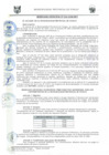 Vista preliminar de documento ORD0020-2008