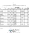 Vista preliminar de documento ANEXO 02 - RESOLUCION - BAJA Y TRANSFERENCIA BBMM GORE UCAYALI