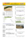 Vista preliminar de documento Boletín de abastecimiento y precio del ARROZ - 08/08/22