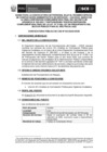 Vista preliminar de documento Bases del Concurso de CAS N° 033-2022-OSCE