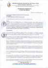 Vista preliminar de documento Ordenanza-001-2021.pdf